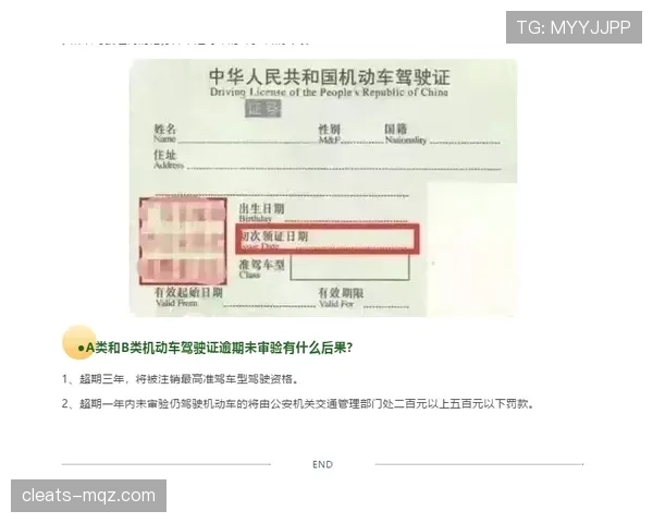 黄牌警告的判定标准与常见误判场景解析